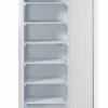 Arktic Gefrierschrank Budget Line, 260 Liter, Edelstahl