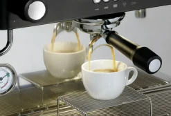 BARTSCHER Kaffeemaschine Coffeeline B20 2-gruppig