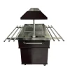 Heisses Buffet, Wärmebuffet mit Tablettrutsche für 4x GN1/1