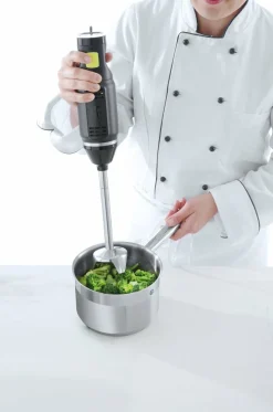 HENDI Stabmixer design by Bronwasser mit 6 Geschwindigkeiten 250W