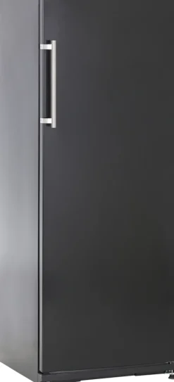 Kühlschrank K311 schwarz 600x647x1630mm