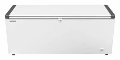 Liebherr EFL 6055 Tiefkühltruhe weiß, Klappdeckel, 542 L
