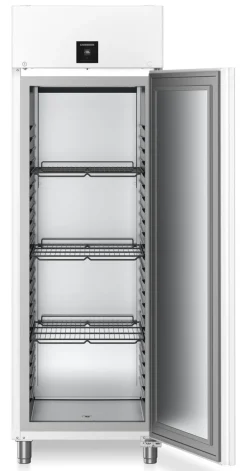 Liebherr Gastronomie Gefrier-Lagerkühlschrank FFPvg 6501 Performance