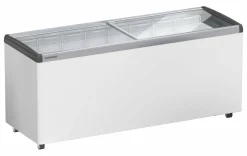 Liebherr Gewerbe Gefriertruhe Tiefkühltruhe EFE 6052 mit Glasschiebedeckel