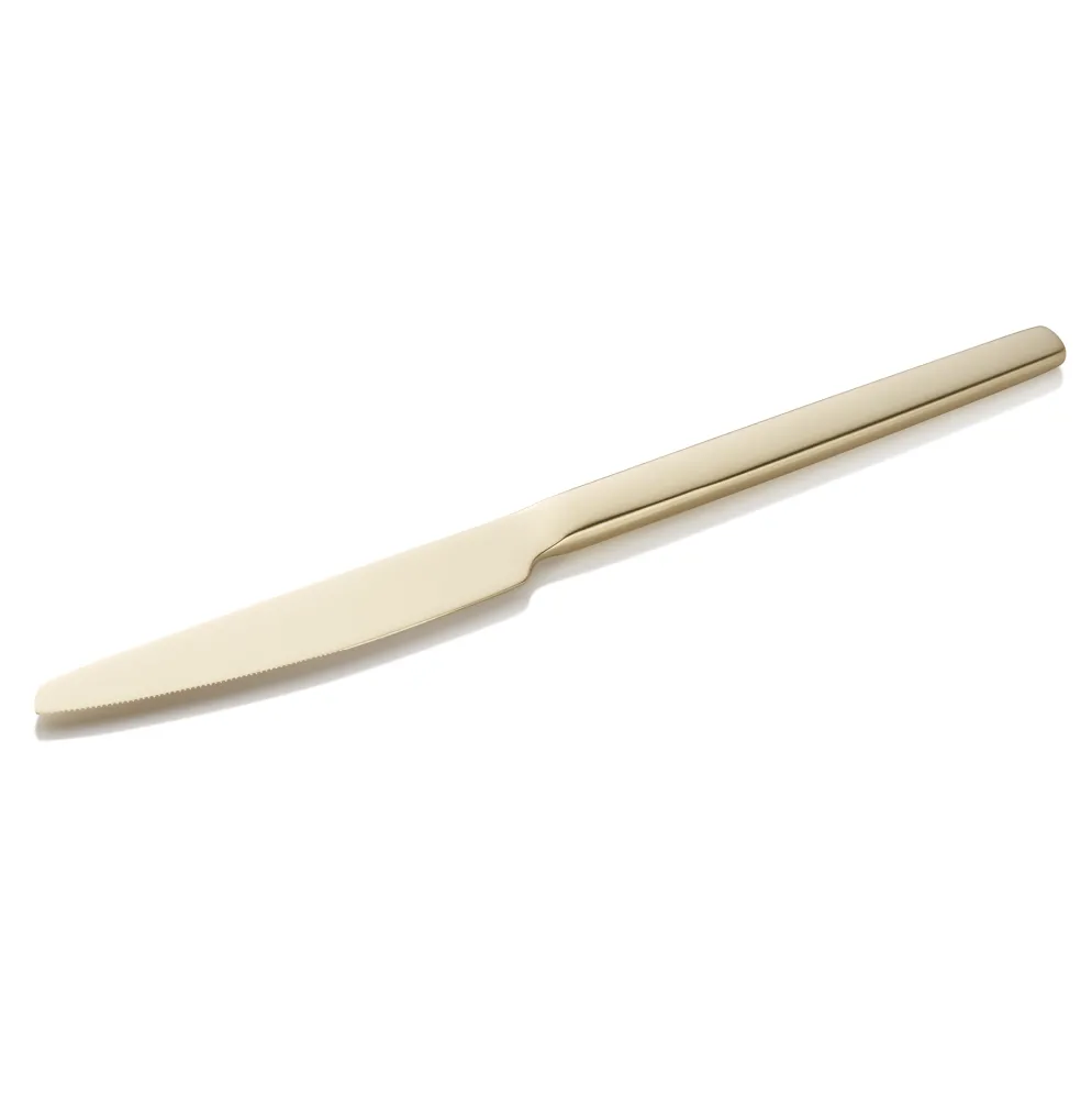 Menümesser Set ALEX CHAMPAGNE, mit champagner, matter PVD Beschichtung, 23 cm, Set á 12 Stück