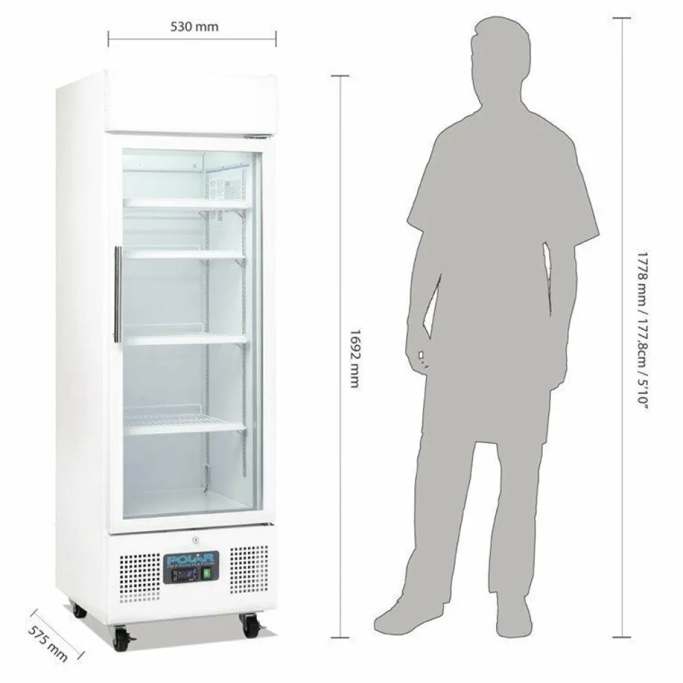 Polar Display Glastür Kühlschrank 336L, 62x57x198,2 cm