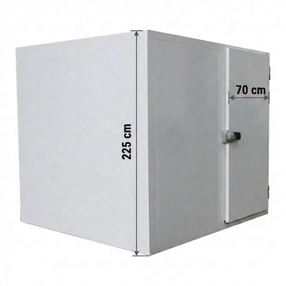 Premium Tiefkühlzelle 2.700x2.400x2.250mm mit Aggregat, Wandstärke 100mm