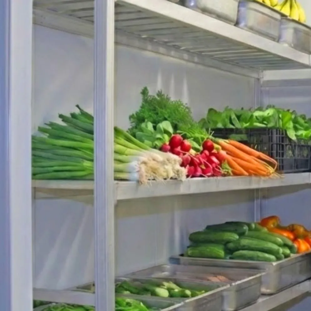 Premium Tiefkühlzelle 2100x2400x2250mm mit Aggregat, Wandstärke 100mm