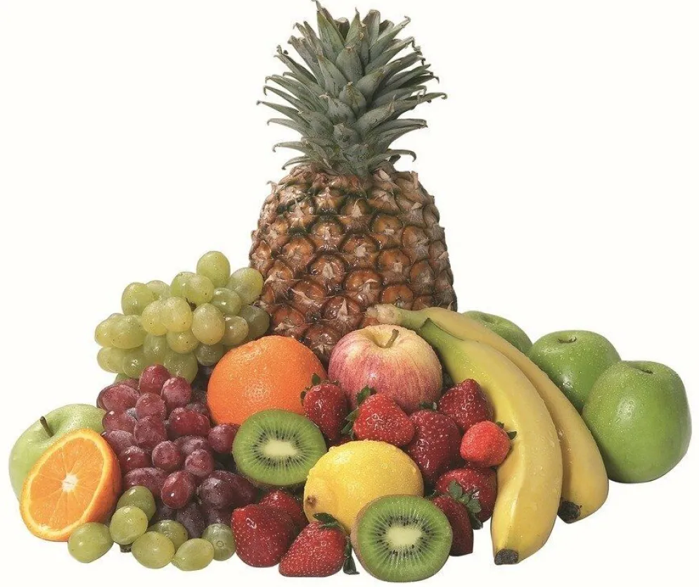 Saftpresse "Top Juicer"