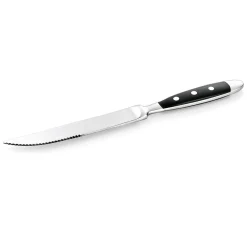 Steakmesser Set BISTRO, 21,5 cm, mit Kunststoffgriff, Set á 12 Stück, Chromstahl 18/0