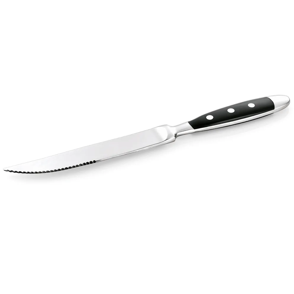 Steakmesser Set BISTRO, 21,5 cm, mit Kunststoffgriff, Set á 12 Stück, Chromstahl 18/0