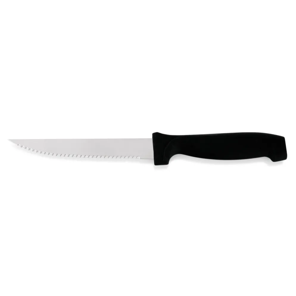 Steakmesser Set, mit Kunststoffgriff, 22 cm, Set á 6 Stück, Edelstahl
