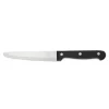 Steakmesser Set, mit POM Kunststoffgriff, 25 cm, Set á 6 Stück, Polyoxymethylen, Chromstahl 13/0