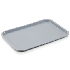 Tablett FAST FOOD, 41,5 x 31 x 2 cm, lichtgrau, Polypropylen